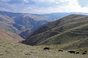 Frühling im Land der Berge - Dagestan
