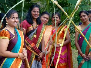 Kultur-Highlight in George Town: Pongal, ein indisches Erntedankfest