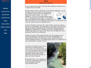 Die Salza in Österreich