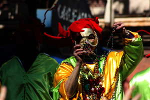 Mardi Gras Mardi Gras