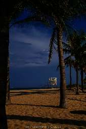 Sonnenschein, Alligatoren und Vergnügungsparks - Eine Rundreise durch Florida Sonnenschein, Alligatoren und Vergnügungsparks - Eine Rundreise durch Florida