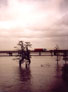tommy auf dem Weg nach New Orleans: Hochwasser